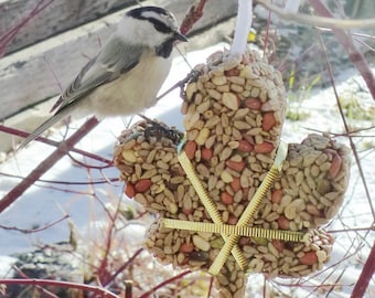 Leaf Birdseed Feeder - Organic Ornament - Wreath - Seed Options and I pay shipping!