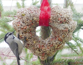Heart Birdseed Feeder - Open Center - options - I pay shipping!