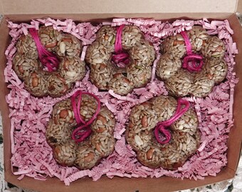 Flowers - Birdseed Feeders 5 Boxed Ornaments wreaths - Options - Ships Free!