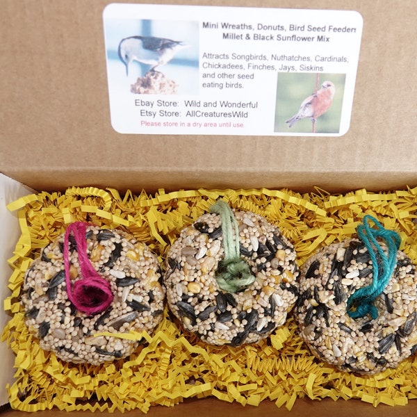 Mini Wreaths, Donuts, Bagels, Bird Seed Feeders Ornaments - Ready to ship! Set of 3 Boxed - Ships Free!