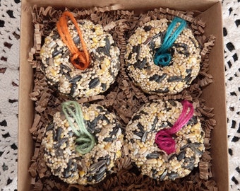 Mini Birdseed Wreath Ornaments Boxed Set of 4 ships free!