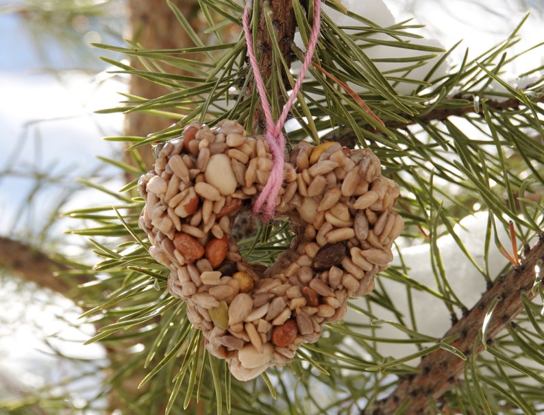 Hearts Bird Seed Feeders Ornaments Options Set of 3 Etsy
