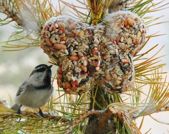 Butterfly Birdseed Feeder 1/4 lb.  Ornament Cake - Seed Options - ships free!