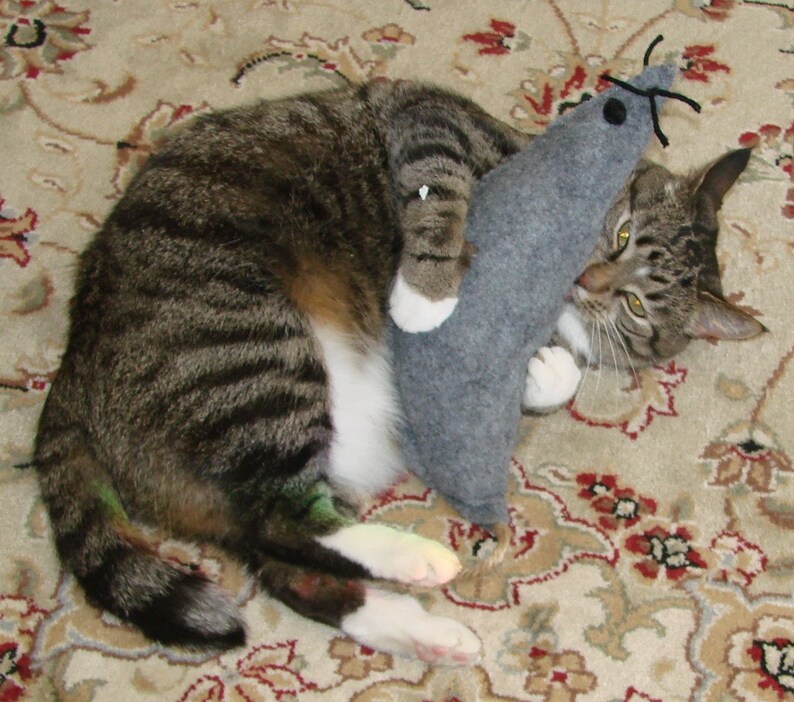 Organic Wild Catnip Cat Toy Big Rat Choose a color Etsy