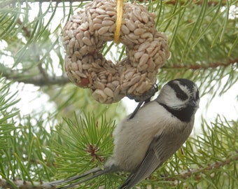 Flowers Birdseed Feeders 4 Boxed Mini Ornaments  - Options  Ships Free!
