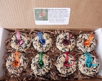 Birdseed Wreath Donut Feeders - multi colored hangers - Set of 8 mini