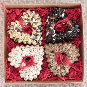 Hearts Mini Birdseed Feeders 4 Boxed Ornaments - Premium seed - Ships Free!