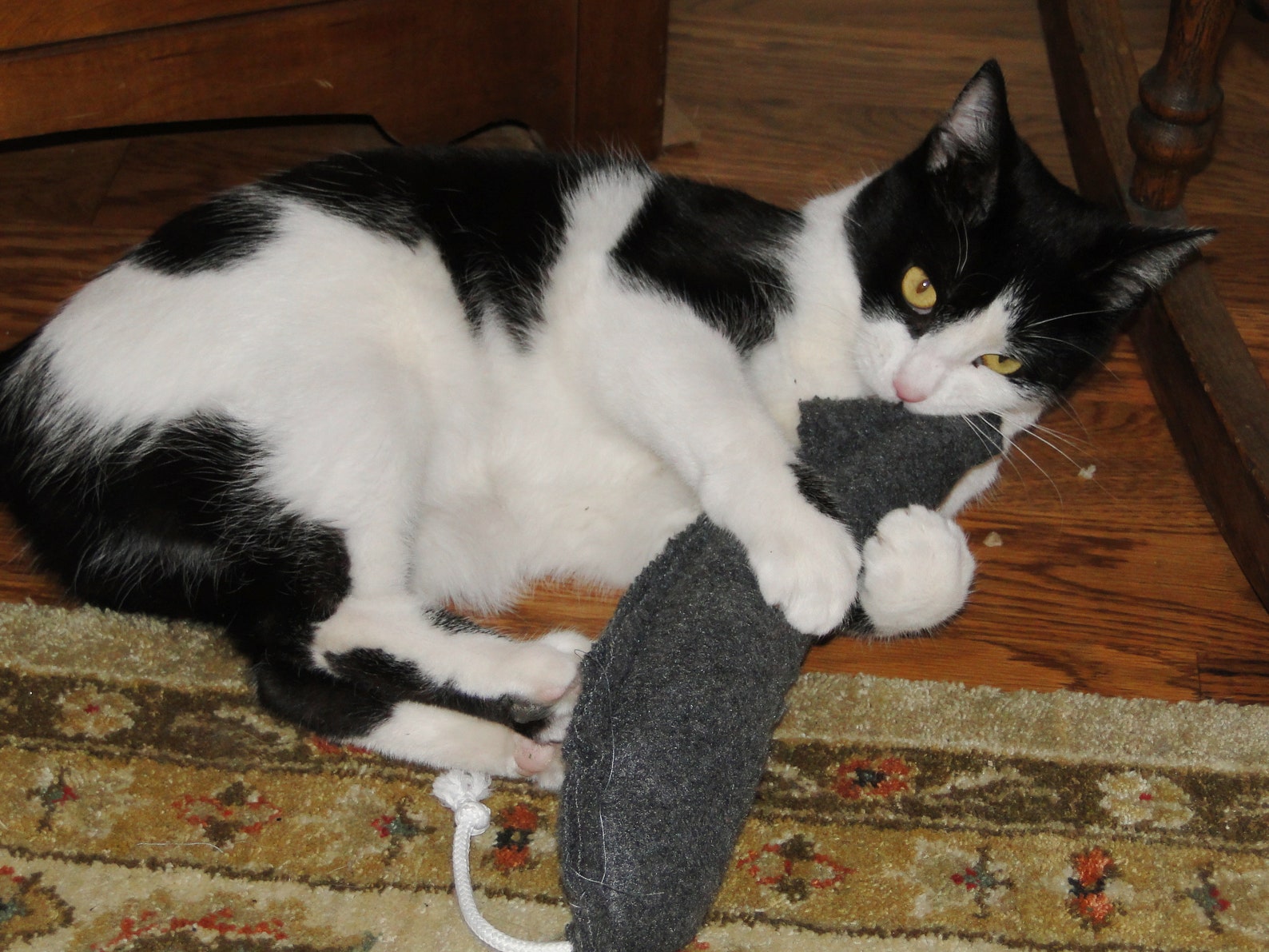 Organic Wild Catnip Cat Toy Big Rat Choose a color Etsy