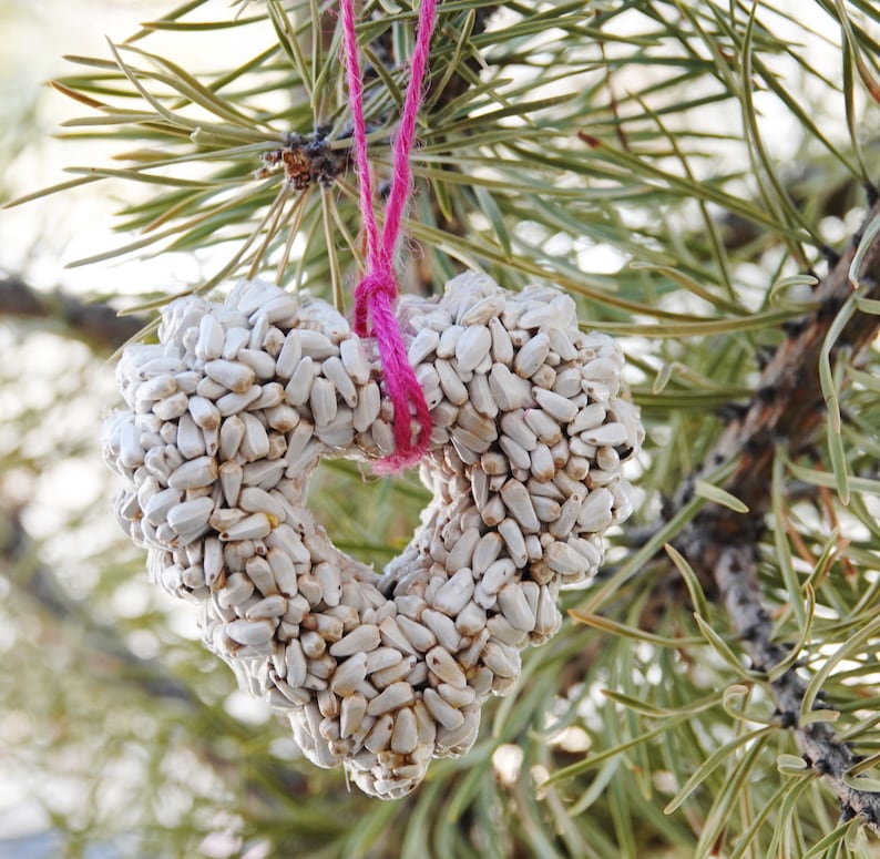 Hearts Bird Seed Feeders Ornaments Options Set of 3 Etsy