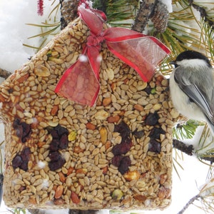 Big House Wild Bird Seed Feeder - Organic - reinforced with hanger - Seed Options