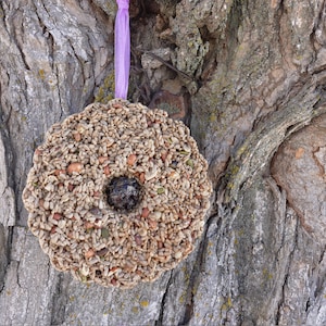 BIG FLOWER wreath, reinforced Bird Seed Feeder w/ hanger, seed options, Ships Free!