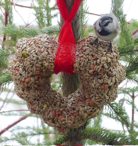 Heart Beautiful Bird Seed Feeder Reinforced Valentine Etsy