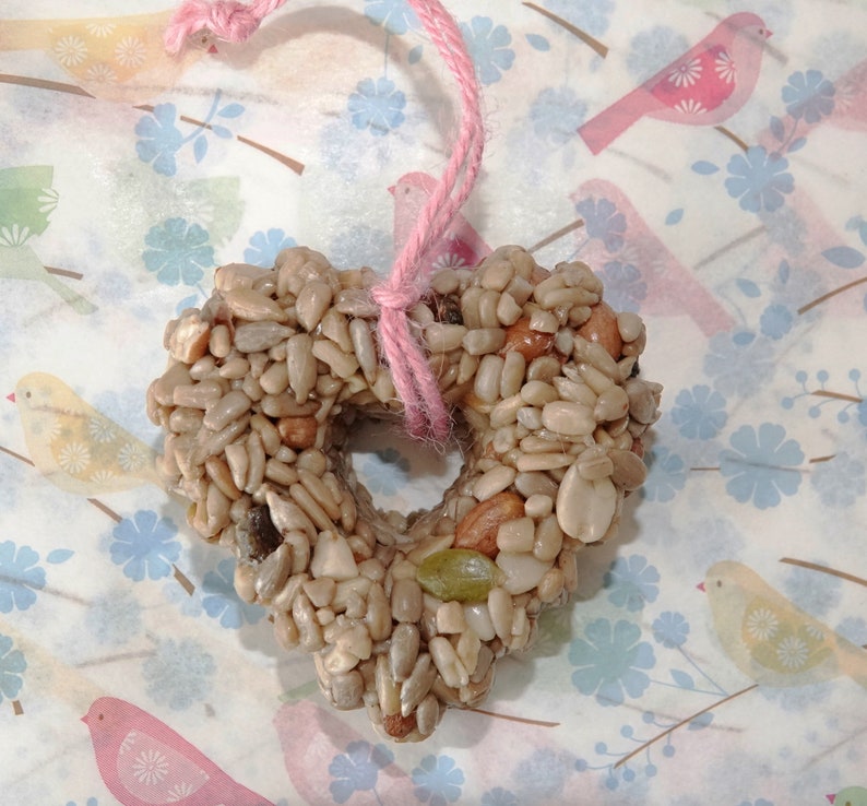 Hearts Bird Seed Feeders Ornaments Options Set of 3 Etsy
