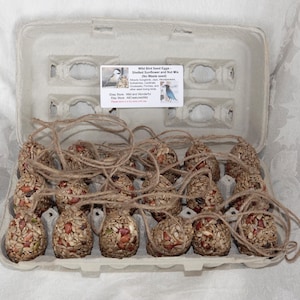 Birdseed Eggs in Carton - 18 Feeder - Ornaments Jute Hangers - @ 2 lbs - ships free
