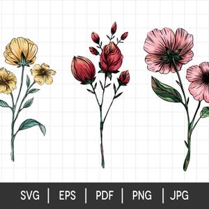 Handgezeichnete Blumen Clipart | Wasserfarbe botanische svg, pdf, eps, png, jpg, digitale Blumenillustration für Sublimation & zum Basteln