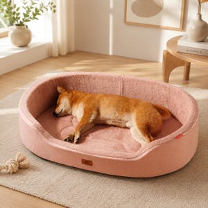 May include: An oval-shaped, dusty pink pet bed with plush, textured fabric and raised sides. A tan and white Shiba Inu dog is curled up and sleeping inside the bed. A small rectangular brown brand tag is attached to the front of the bed.
