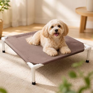May include: A small, light-coloured dog with floppy ears sits on a rectangular elevated pet bed. The bed features a brown fabric surface stretched across a white frame with four legs, each finished with black caps at the base for stability.