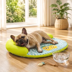 May include: A tan French Bulldog lying on a round, light green and white wavy-patterned pet bed with a bright green mesh bolster. The bed features a yellow pineapple graphic. A clear glass bowl of water and a small pineapple charm are nearby.