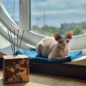 May include: A hairless Sphynx cat with pink skin and gray markings rests on a blue cloth near a window. A wooden block with a cat engraving and black reeds sits nearby, suggesting a home decor theme.