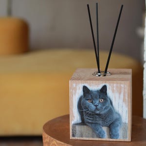 May include: A wooden block diffuser with a printed image of a gray cat with orange eyes. The block has a silver metal insert holding three black diffuser sticks. The cat is lying down. The wood has a natural grain.