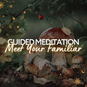 Meet Your Animal Familiar Guided Meditation | Spirit Animal Journey | Witchcraft | Trance Magic | Spirit Guide Meeting Connection