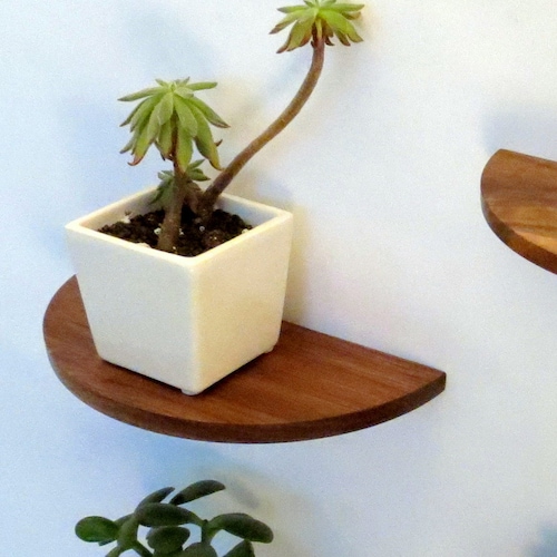 Half Round Walnut Shelf Floating Wood Shelf Etsy