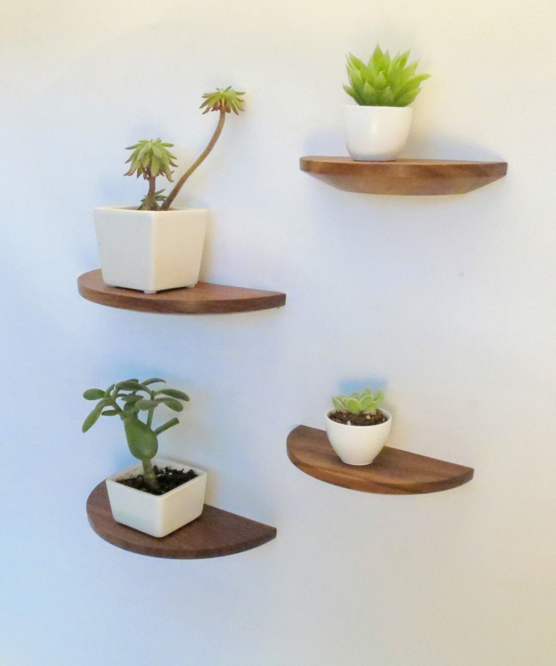 Half Round Walnut Shelf Floating Wood Shelf Etsy UK