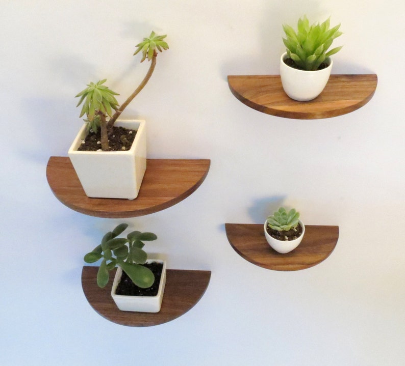 Half round walnut shelf floating wood shelf Etsy