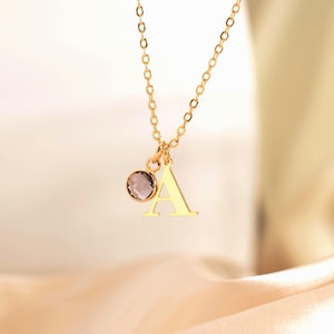 Delicado collar con inicial de piedra de nacimiento, collar con letra de piedra preciosa colgante, collar con letra pequeña, joyería con piedra de nacimiento, regalo de cumpleaños, regalo para ella