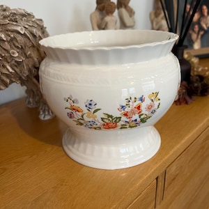 Aynsley cottage garden plant pot