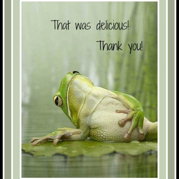 Frog Magnet  That was delicious Thank you  4" x 5"