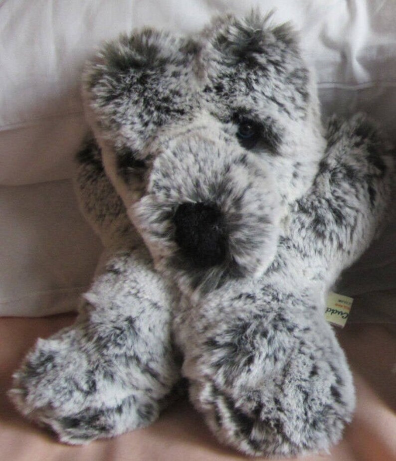 koala teddy bear gifts