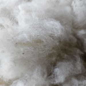 Fertilizante de liberação lenta, lã de ovelha, produto natural para melhoramento do solo, retenção de umidade, cobertura morta para plantas em vasos e recipientes, fertilizante de alta nutrição.