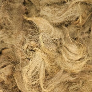 May include: Close-up of raw, unprocessed fiber in shades of tan and brown. The fibers are long, wavy, and have a coarse texture. The image shows a dense pile of the natural material, with individual strands visible.