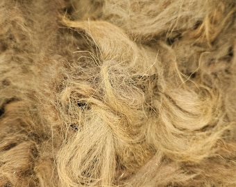 May include: Close-up of raw, unprocessed fiber in shades of tan and brown. The fibers are long, wavy, and have a coarse texture. The image shows a dense pile of the natural material, with individual strands visible.