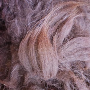 Lã de alpaca em diversas cores, lã bruta para fiação, feltragem, artesanato, enchimento e forro, proveniente de criadores regionais, lã para fiação e fibras finas.