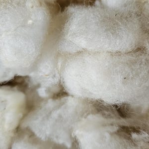 May include: A close-up of a pile of white sheep's wool. The wool is soft and fluffy, and it looks like it would be perfect for knitting or crocheting.