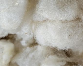 May include: A close-up view of raw, unspun white sheep wool fibers. The texture is soft, fluffy, and voluminous, showing the natural crimp and tangled structure of the raw fleece. The fibers are off-white with subtle variations in tone throughout.