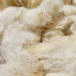 Lana merino (lana de oveja tipo carne) para hilar, fieltrar, rellenar y rellenar, lavada con métodos que ahorran recursos, de pastores regionales en paquetes de 100g o 250g.