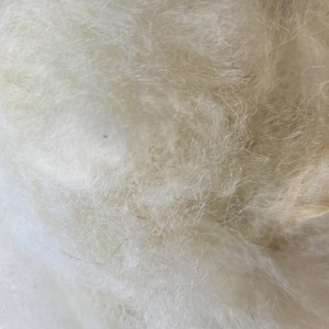 Puede incluir: Primer plano de una masa de fibras suaves y esponjosas, de color blanquecino. Las fibras tienen una textura delicada y aireada con sutiles variaciones de color, que van del blanco puro al beige claro. El aspecto general sugiere un material natural.