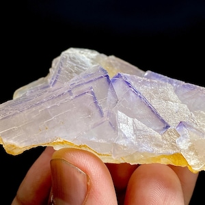 Puede incluir: Primer plano de un grupo de cristales de fluorita. El cristal presenta formaciones cúbicas translúcidas, de color púrpura pálido y blanco, con una base amarilla. Los bordes del cristal son afilados y bien definidos, con una textura natural y rugosa.