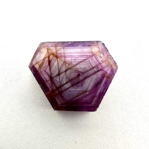 May include: A hexagonal-shaped gemstone featuring a translucent purple and violet color palette with distinct geometric internal banding and dark brown mineral inclusions that create a sharp, angular pattern across the surface of the crystal.