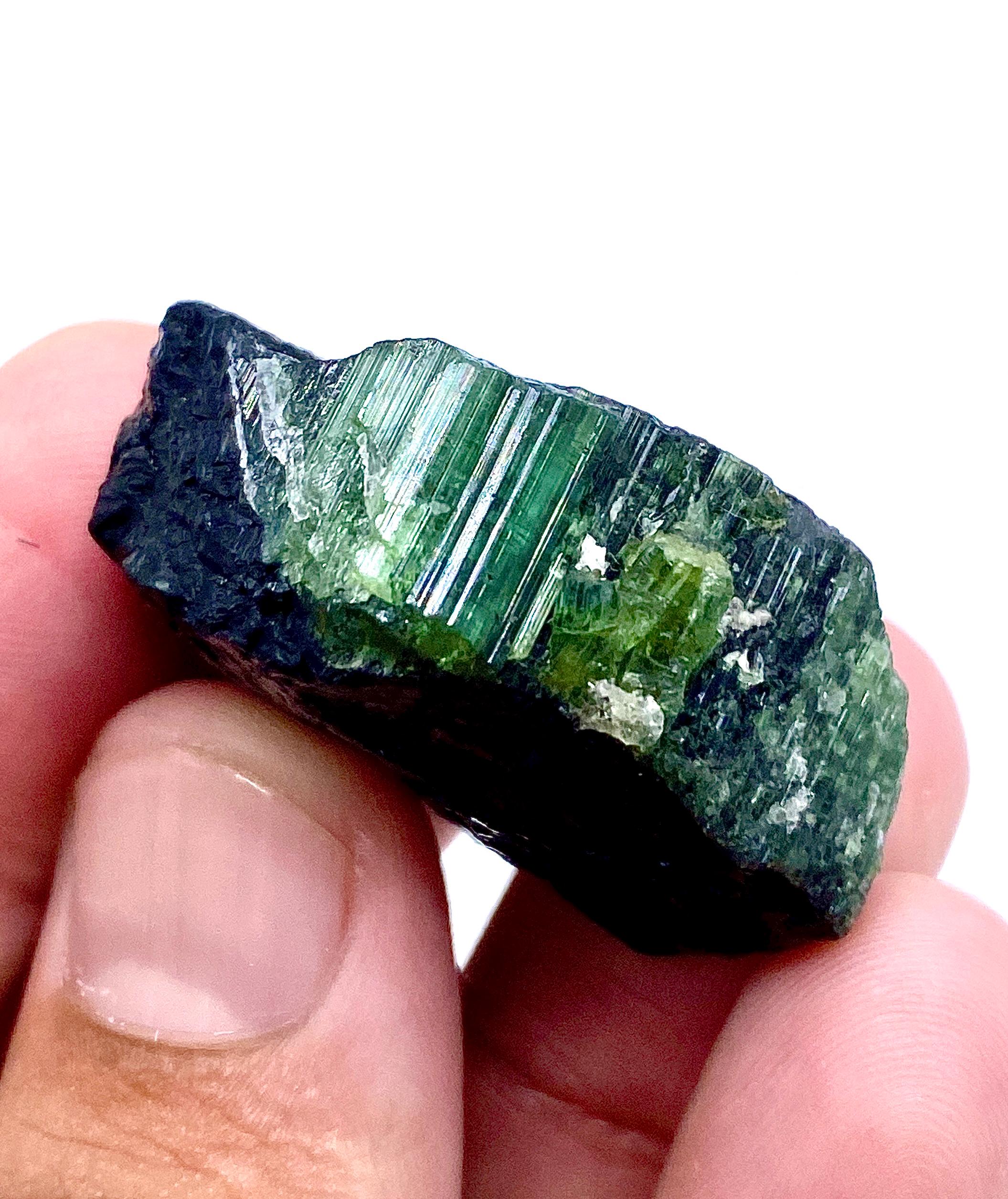 マトリックス上のグリーントルマリン結晶：パキスタン産141カラットの