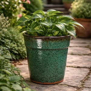 May include: A green ceramic plant pot with a textured surface, filled with a leafy green plant. The pot has a dark brown rim and a terracotta base. The plant has green and yellow variegated leaves. The pot is on a stone path.