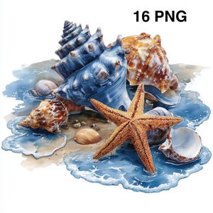 May include: A watercolour illustration of seashells and a starfish on a sandy beach with blue water. The image includes a large blue conch shell, a brown and white shell, and a five-pointed orange starfish. The text "16 PNG" is in the upper right corner.