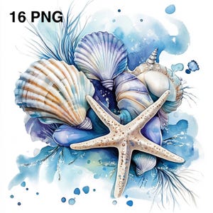 May include: Watercolor illustration of various seashells and a starfish in shades of blue, white, and tan. The image features a collection of different shell shapes and sizes, with a starfish prominently displayed in the center. The background includes blue watercolor washes and accents.