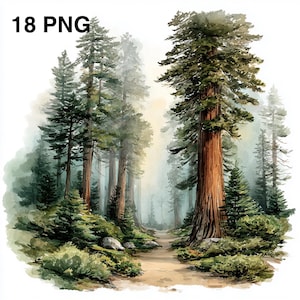 Puede incluir: Pintura a la acuarela de una escena de bosque con árboles altos y verdes y un camino en el centro. El texto "18 PNG" está en la esquina superior izquierda. La obra de arte tiene una atmósfera suave y brumosa.