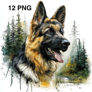 12 PNG German Shepherd Dog clipart Dog Sublimation Designs Printable Watercolor Clipart Dog Portrait Prints Instant Digital clipart