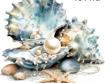 18 PNG Seashells Pearls Clipart ocean sea clipart Ocean Beach Under the Sea Illustration Printable Journal Digital Download Printable