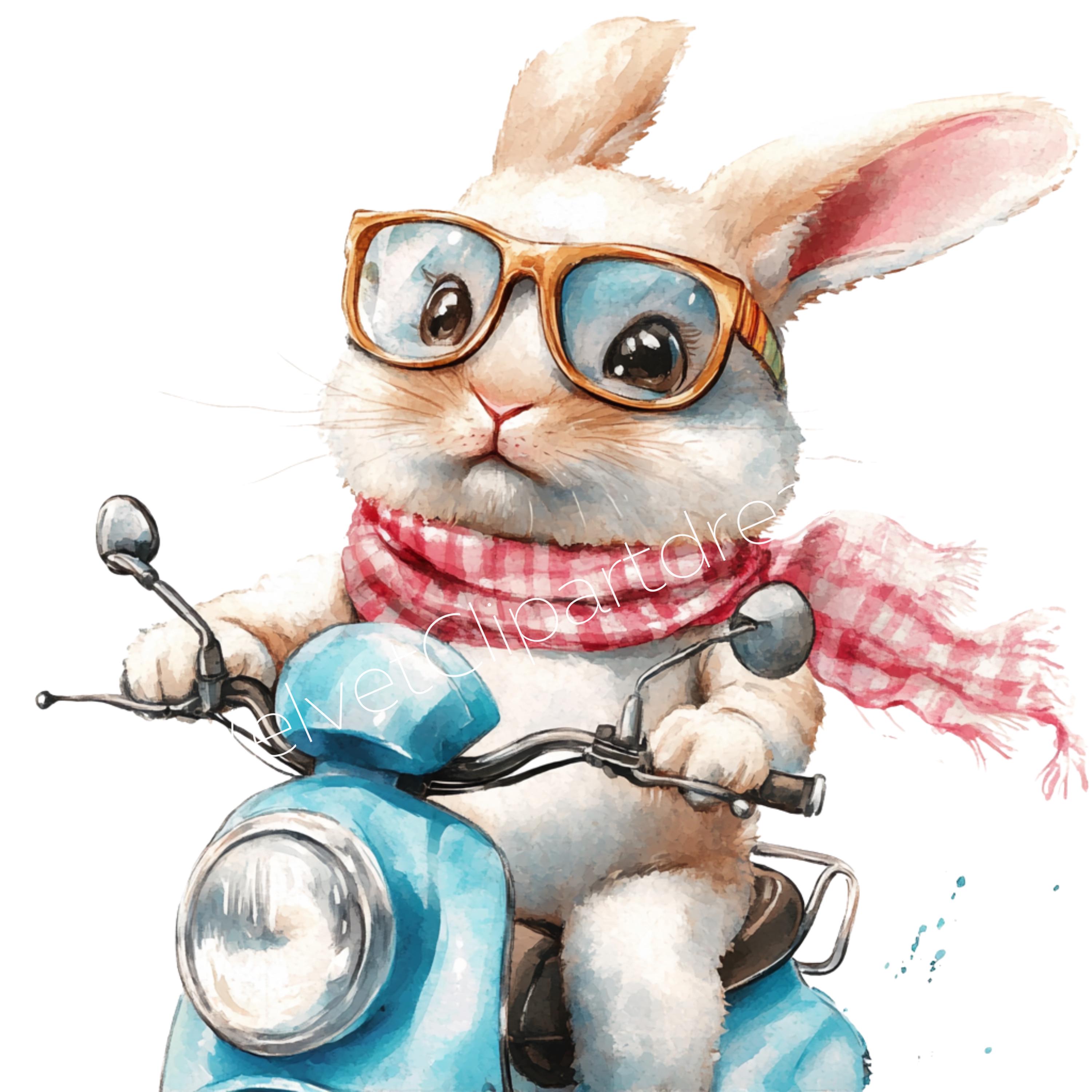 21 Funny Bunny on Motorcycle Clipart Watercolor Bunnies Motorcycle ...